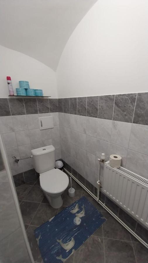 Ubytovani U Machalu Villa Leskovec Nad Moravici Ngoại thất bức ảnh